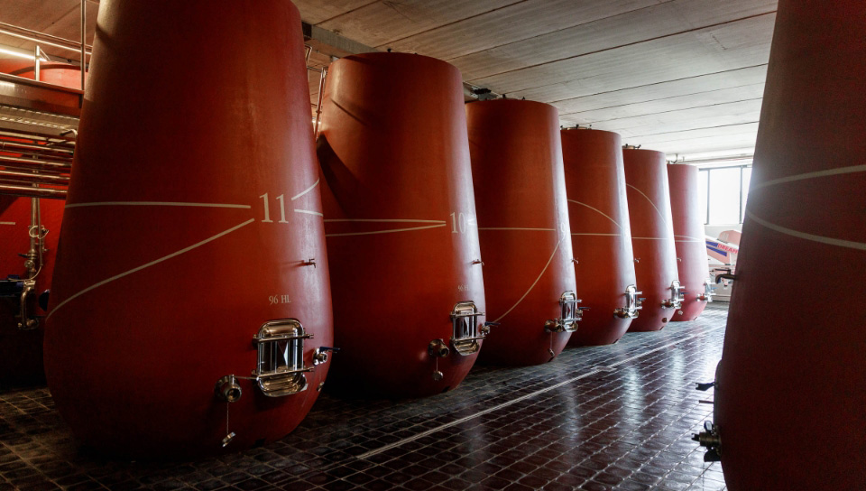 Il vino ha i suoi tempi, come la natura