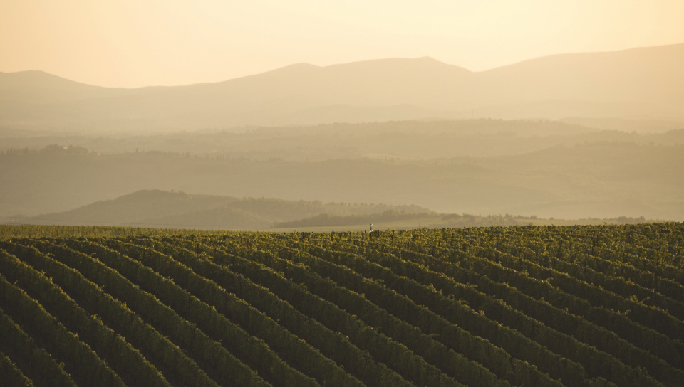 Un legame col territorio tutto naturale